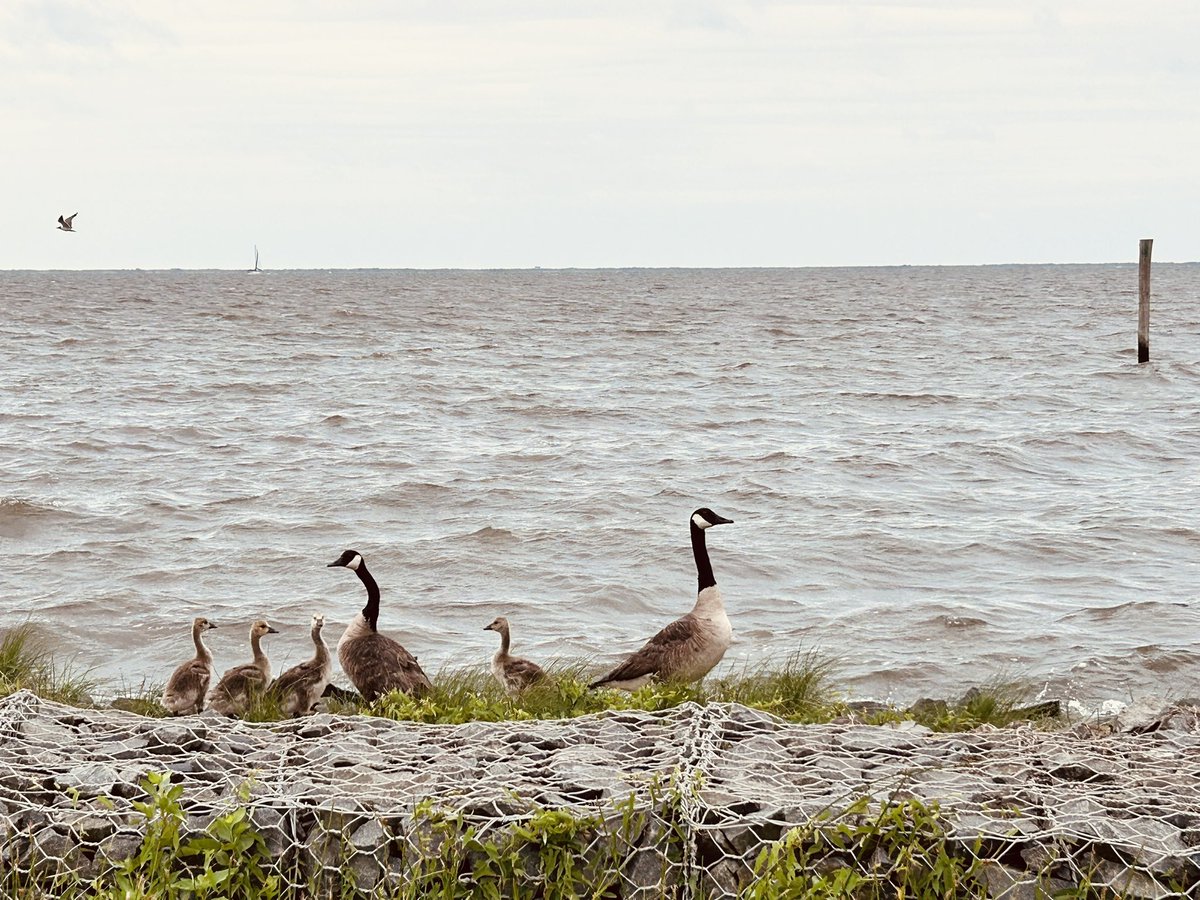 Jkreybig's tweet photo. Barnegat Bay https://t.co/NpYL5v3Ns4