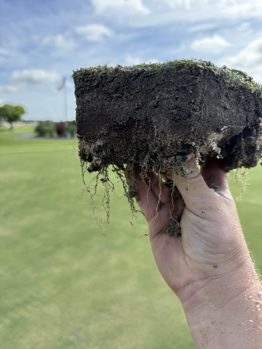 Very nice!! #gotroots