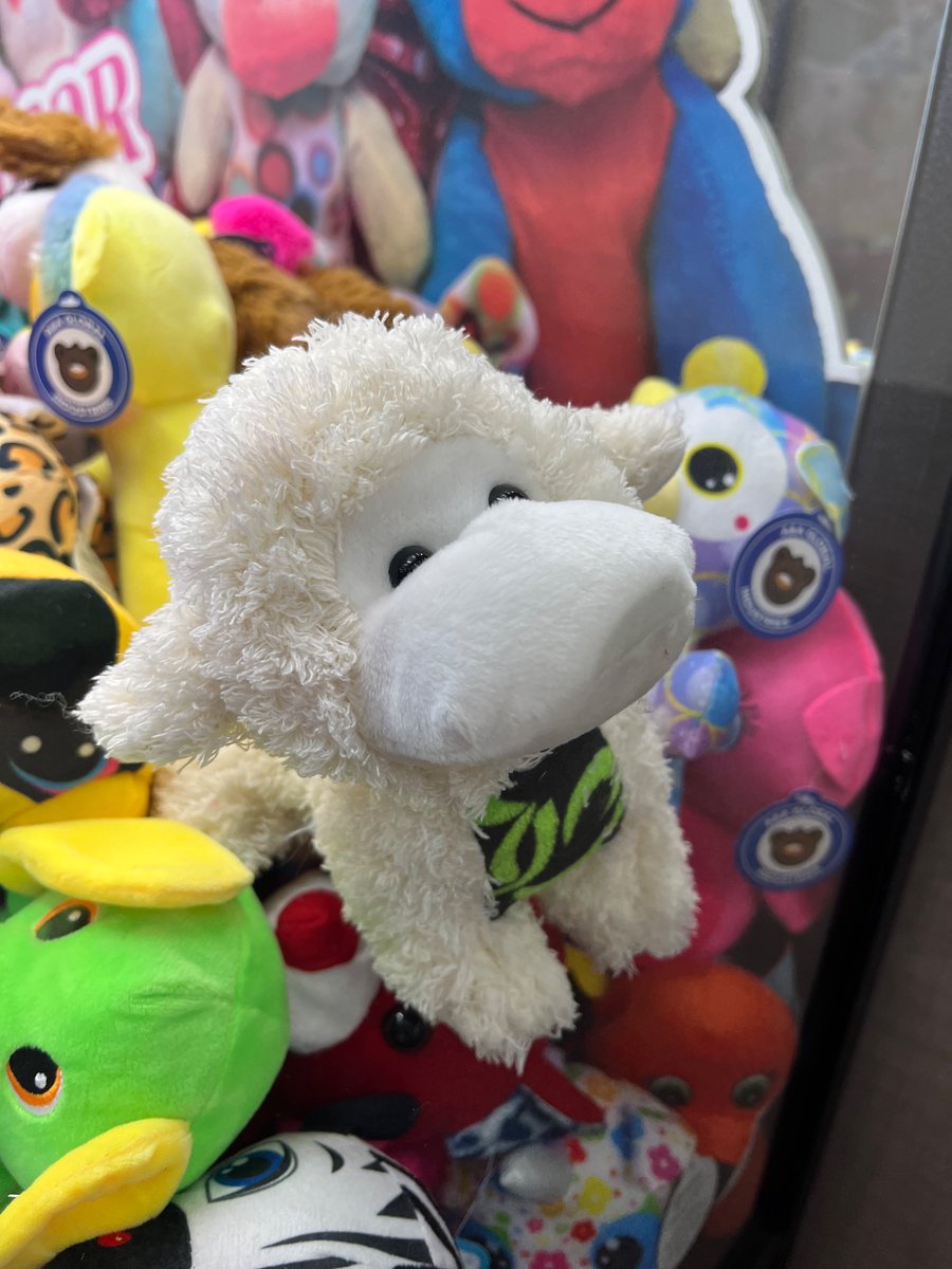 TheAlpacaQueen's tweet image. walmart claw machine toy..... im sorry.... i wish i could save you........i wish i could save you all