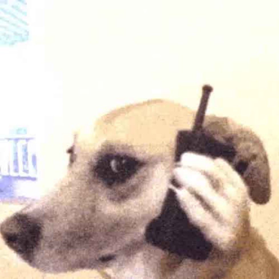 youngandr1ch's tweet photo. Everyone is calling #dogphone call alpha so I had to maxbid🐶
Ca: 5YYBTW9o7iRycMdZtJzsC2L9Bx7Kv7xABUW8otZpmoon https://t.co/DfX6AnaFnJ