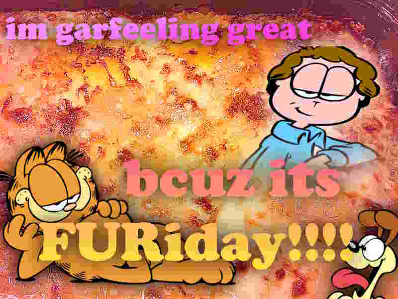 happy garfield everyone
