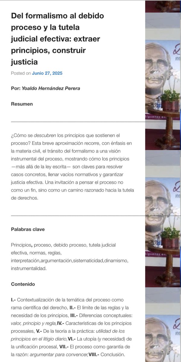 El proceso, en su naturaleza instrumental, debe ser comprendido a la luz de sus principios para asegurar una tutela eficaz del derecho, evitando rigideces formalistas que lo desvíen de su propósito esencial: la justicia. yoaldo.org