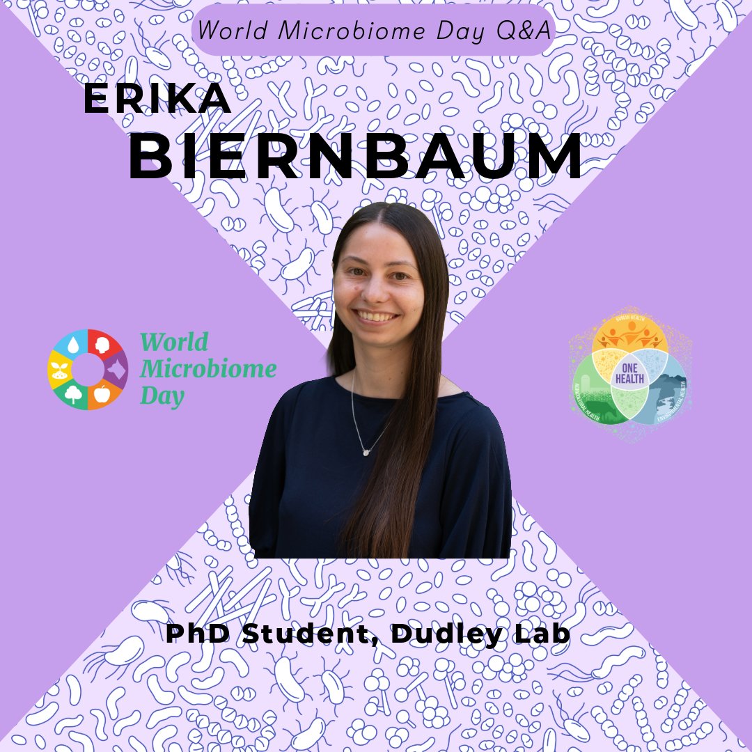PSUmBiome's tweet image. Let's cap off #WorldMicrobiomeDay here at the OHMC with Erika Biernbaum, a PhD student in the Dudley Lab!
Her research is centered around food microbiomes and health – she seeks to understand how we can detect foodborne pathogens like #Salmonella more quickly and efficiently.