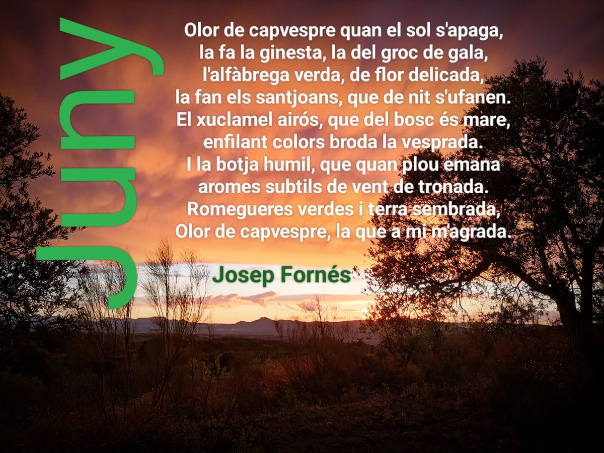 Poemari de Juny <a href="/amades_acja/">Joan Amades ACJA</a> <a href="/anyclave/">Any Clavé</a> <a href="/Bibliofalset/">Biblioteca Pública Salvador Estrem i Fa de Falset</a> <a href="/literaturacat/">Cultura Catalana</a> <a href="/ccentresestudis/">Coordinadora Centres d'Estudis de Parla Catalana</a> <a href="/omnium/">Òmnium Cultural</a> <a href="/A_RosaDeFoc/">Ateneu Rosa de Foc</a>