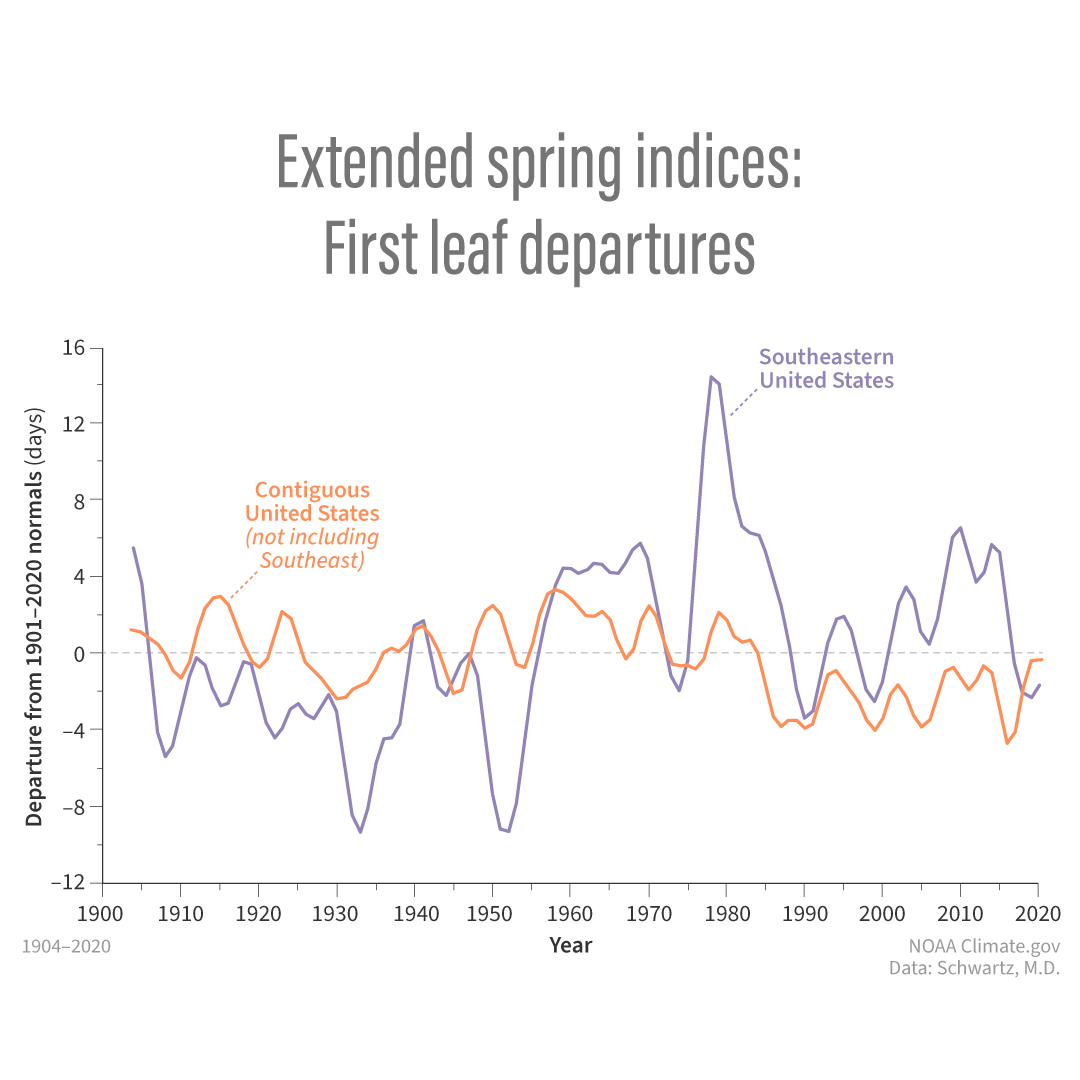 NOAAClimate's tweet image. Long-term trends in first leaf and first bloom dates across the U.S. are responding to long-term changes in temperatures. However, the trend across the Southeast may be surprising to some.
Find out why: climate.gov/news-features/…