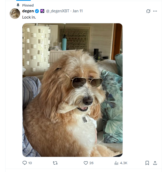 0xhackedd's tweet photo. Sharing all the info I got but it looks Moonshot have quietly fed us a PVE narrative

DegenXBT who is on moonshot team and affiliate posted his dog and launched the coin for it as "Moonshot Dog". $mdog

You can check who launched it on the app yourself.

https://t.co/HjZfqiicWn

Moonshot Dog on Moonshot, First coin deployed by the actual team.

 This should be the #1 coin and flip all the others

35ADphSnaAgJXST8rQEzn3rN27Y77BH2e6GXyYuGmoon