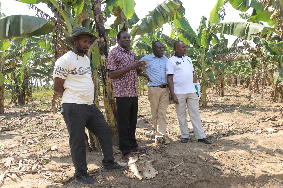 EASA East Africa on behalf of <a href="/ICRP_Uganda/">Irrigation for Climate Resilience Project</a> is  at demo site 3 hosted by Geofrey Gakyaro measuring 18.5x12MX 3 M depth Kabuyanda Town Council. It will benefit 2,002 farmers in 3 wards: central, northern &amp; kisyoro. 
#irrigation
# Isingirodistrict