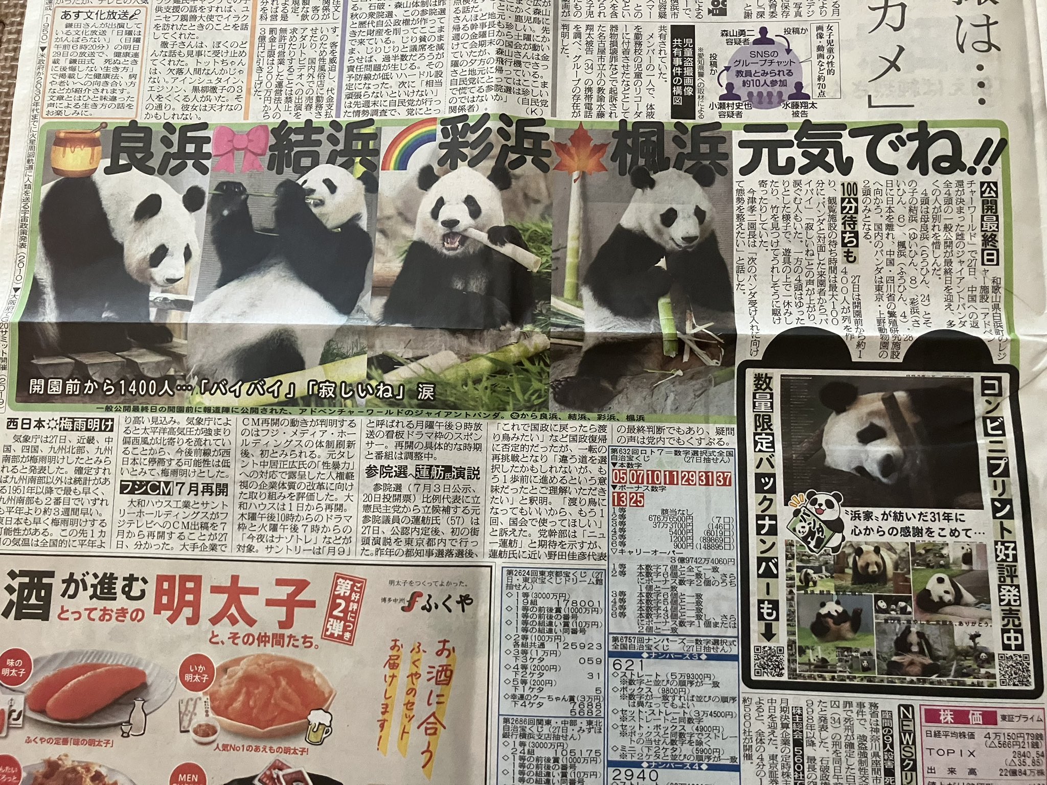 パンダページ パンダお箸＆箸置きセット 山桜 – WWFジャパン PANDA SHOP