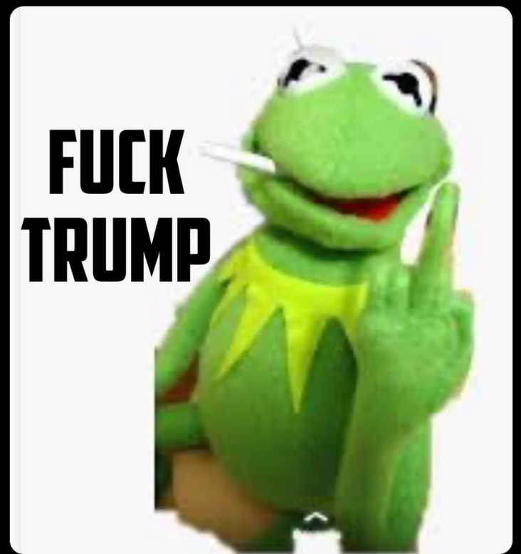 As a Canadian.... FUCK YOU <a href="/realDonaldTrump/">Donald J. Trump</a>  , you whiny cunt!
