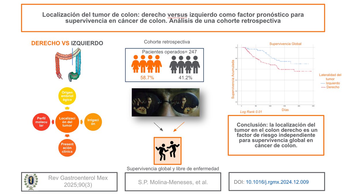 🔍 ¿Influye la localización del tumor en el pronóstico del cáncer de colon?

Un nuevo estudio publicado en Revista de Gastroenterología de México analiza la diferencia entre tumores en colon derecho vs. izquierdo como factor pronóstico para la supervivencia global.

📊 ¡Conoce