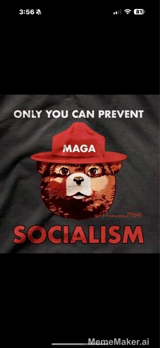 GOD’S GIRL (@primrose771646) on Twitter photo 