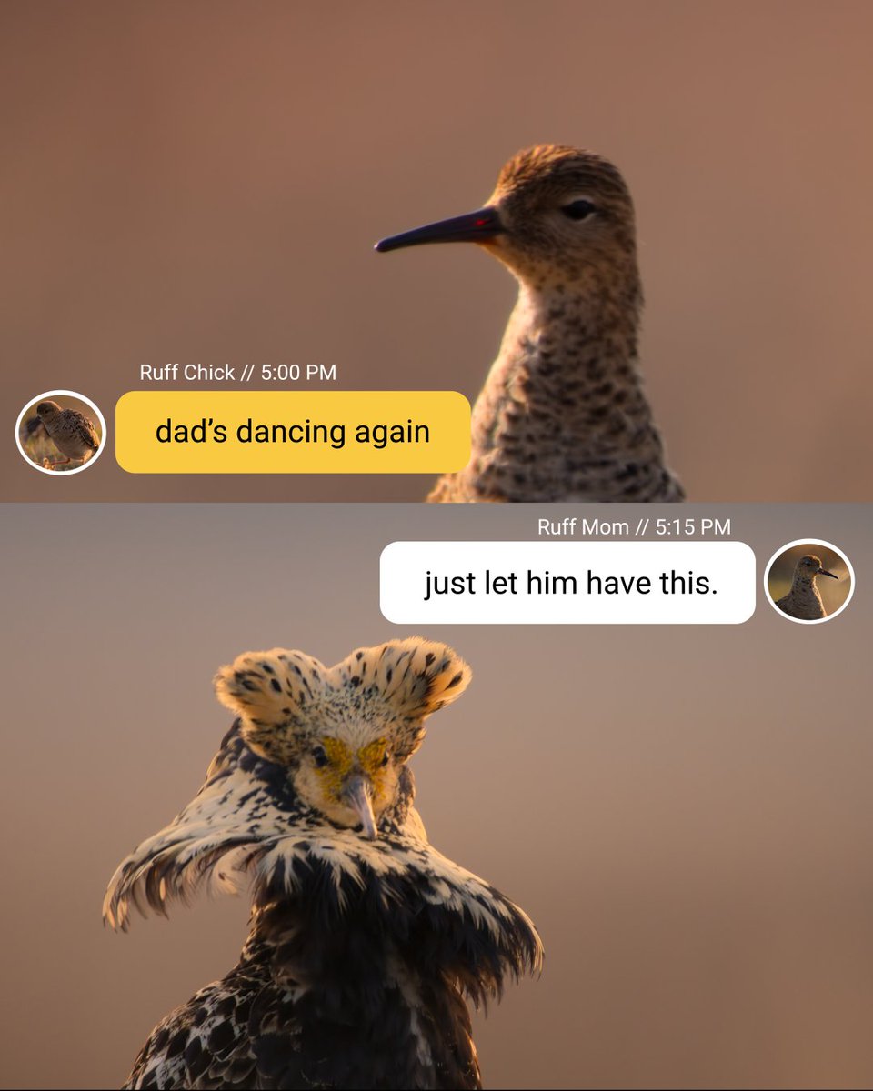 NatGeoAnimals's tweet image. We'd have the same reaction if we received a text from sea cucumber's butt tbh.

Catch all-new #Underdogs, narrated by @VancityReynolds, Sunday at 9/8c on @NatGeoTV. All episodes now streaming on @DisneyPlus and @hulu.