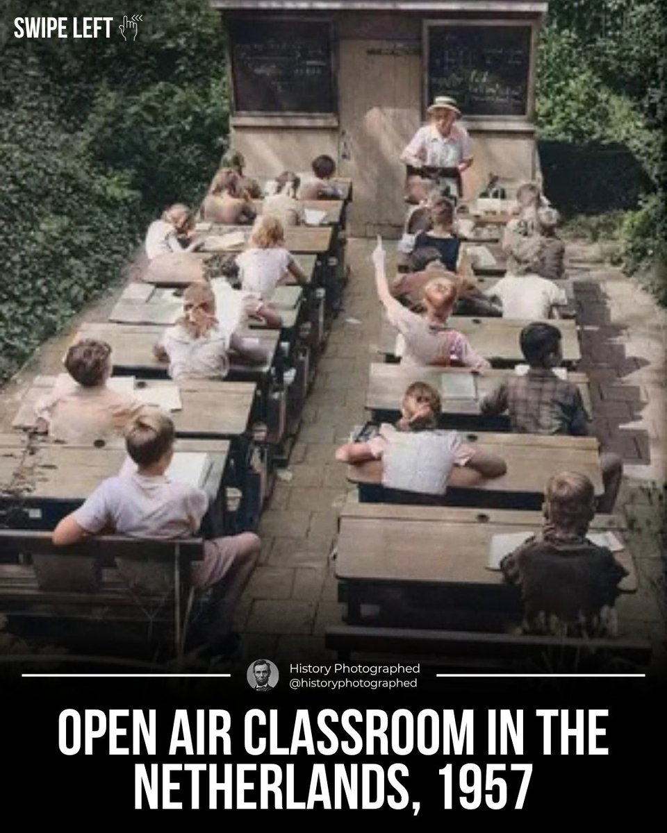 History Photographed tweet media