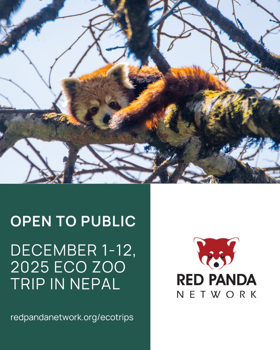 RedPandaNetwork's tweet image. 📢 ANNOUNCEMENT 📢
This trip is now open to the public!
Usually exclusive to zoo staff, volunteers, and conservation professionals, our Eco Zoo Trips are longer (12 days) than our other ecotrips and are a more immersive experience of Himalayan 🏔️ culture and biodiversity. 🐾…