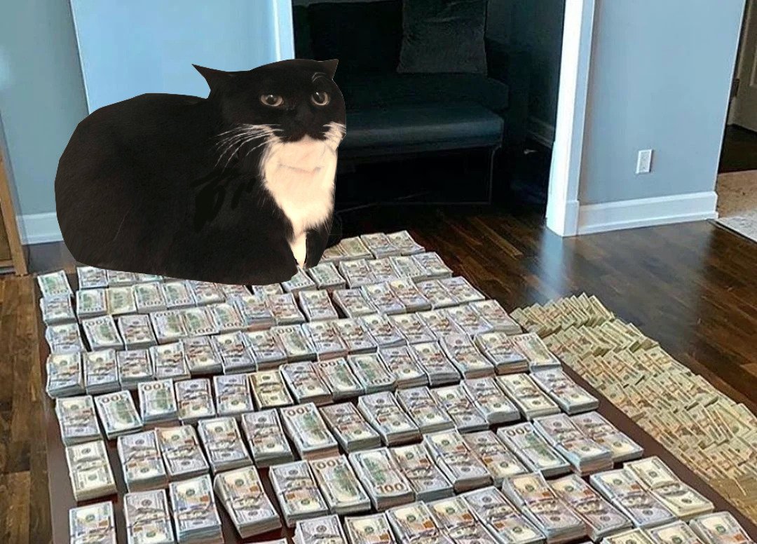 Maxwell the cat is cooking something… 
A new competition drops SOON! Stay tuned!
YOU decide how BIG the next $SPINCAT prize will be!
Retweet this &amp; stay ready!

0-9 Retweets -&gt; 10$ in SOL 
10-29 Retweets -&gt; 30$ in SOL 
30-49 Retweets -&gt; 50$ in SOL 
50+ Retweets -&gt; 100$ in SOL