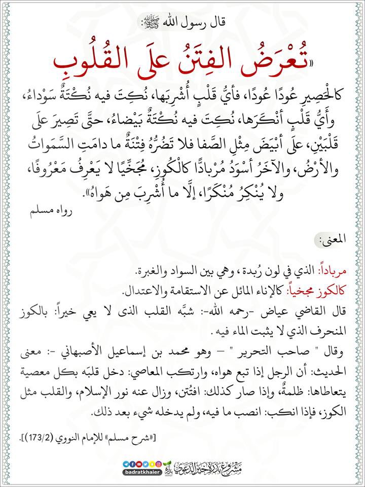 اختياراتك أثناء مرور الفتن تحدد مصير قلبك، فإن رأيتهم تخلّوا عن غزة فقل: هذا منكر، وإن رأيتهم طبّعوا مع الصهاينة فقل: هذا منكر، حتى لا يذهب إيمانك باتباعك لضلالهم.