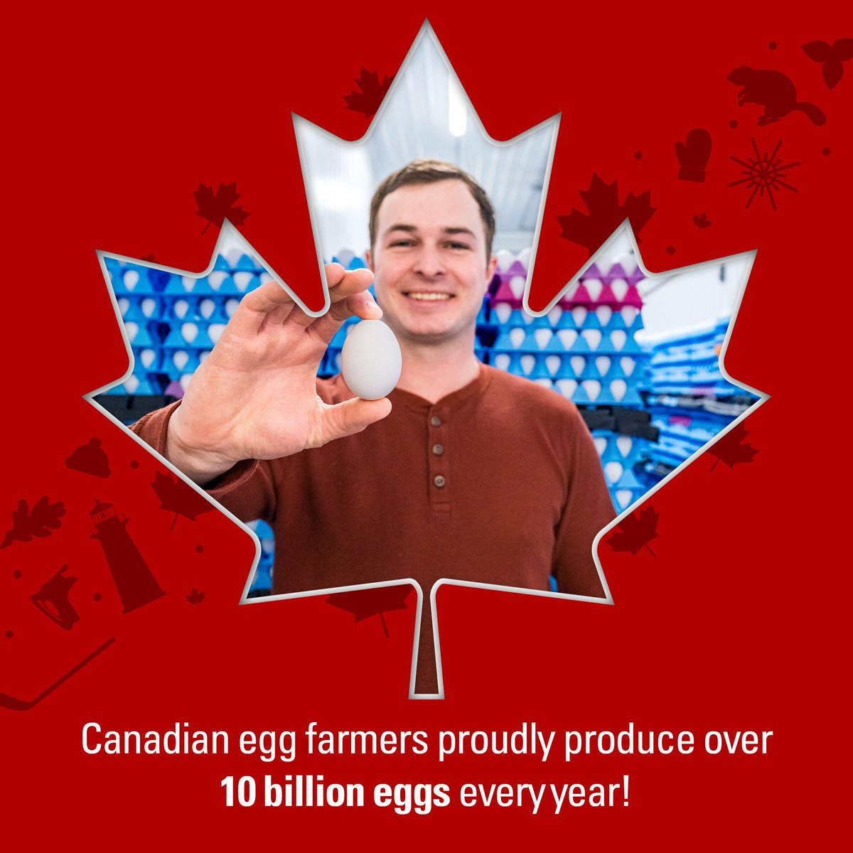 #DYK Canadian egg farmers produced 856 million dozen eggs last year - that’s over 10 billion eggs! Every day, our farmers take great pride in producing local eggs in all 10 provinces &amp; the Northwest Territories. Learn about supply management: eggfarmers.ca/2020/01/supply…