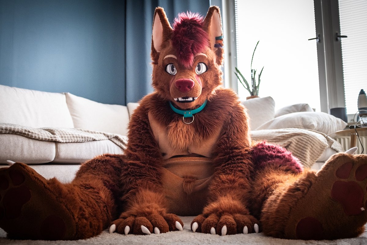 So happy to see you! ☺️
What shall we play?
📸: <a href="/Nyuff_TheFox/">Nyuff_TheFox</a>
#FursuitFriday