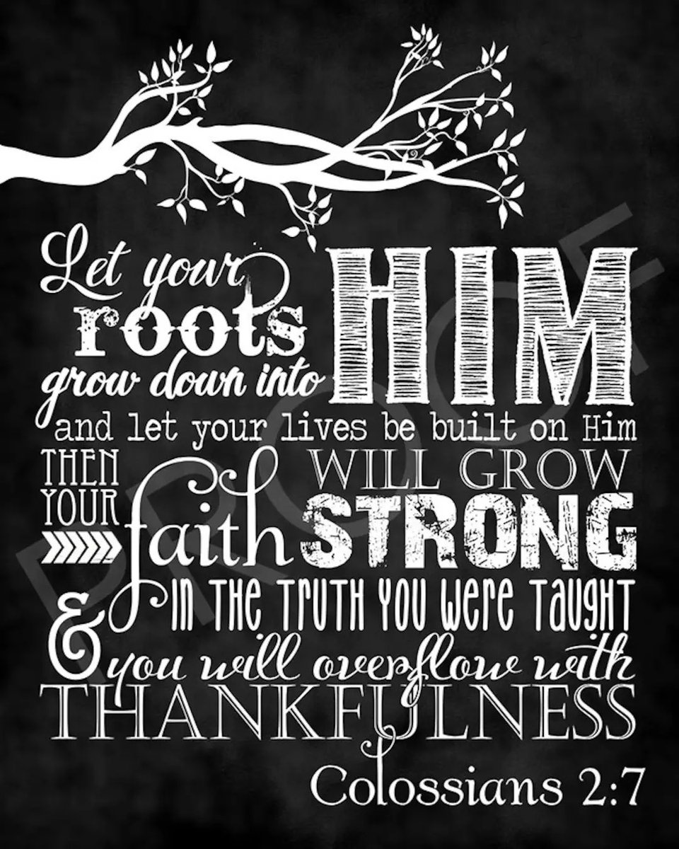 Coach_LaFavers's tweet image. #Rooted