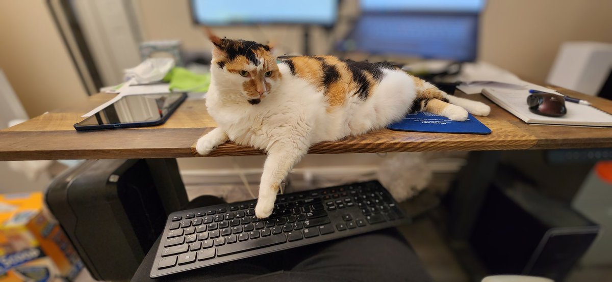 Helping the servant so the she can finish work