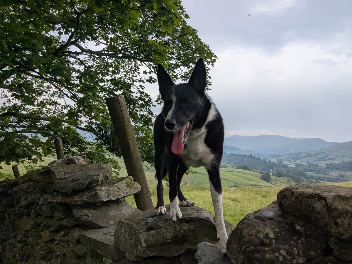 Back from a much needed break in the Lake District with hubs &amp; Nina. Went up and back in 30 degree heat, the air con wasn't working and the traffic added 2 hrs to both journeys😱 But we had a great time. I'm back at work on Monday so the shop is open ➡️ sheepinstitches.etsy.com
