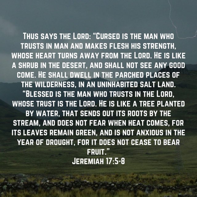 323Performance's tweet photo. Stats, athleticism and hype fade.

Those rooted in the Lord don’t wither in adversity.

Even in drought, they find their strength in the Lord.

Still growing. Still bearing fruit. https://t.co/JMsoGu78jF