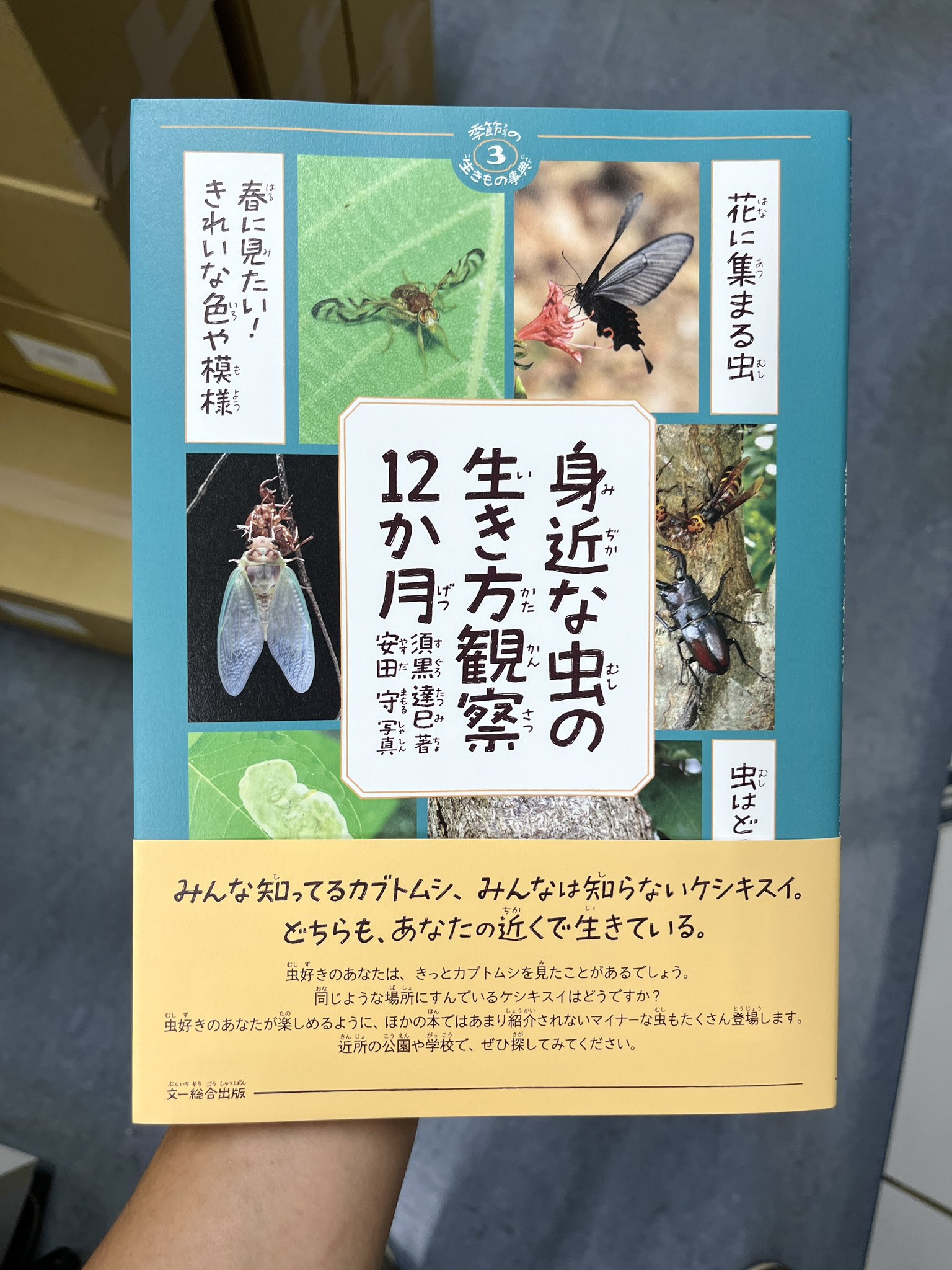 ま*す様 週刊日本の天然記念物動物編全50巻専用バインダー立体動物模型全て揃って 週刊日本の天然記念物動物編全50巻専用バインダー立体動物模型