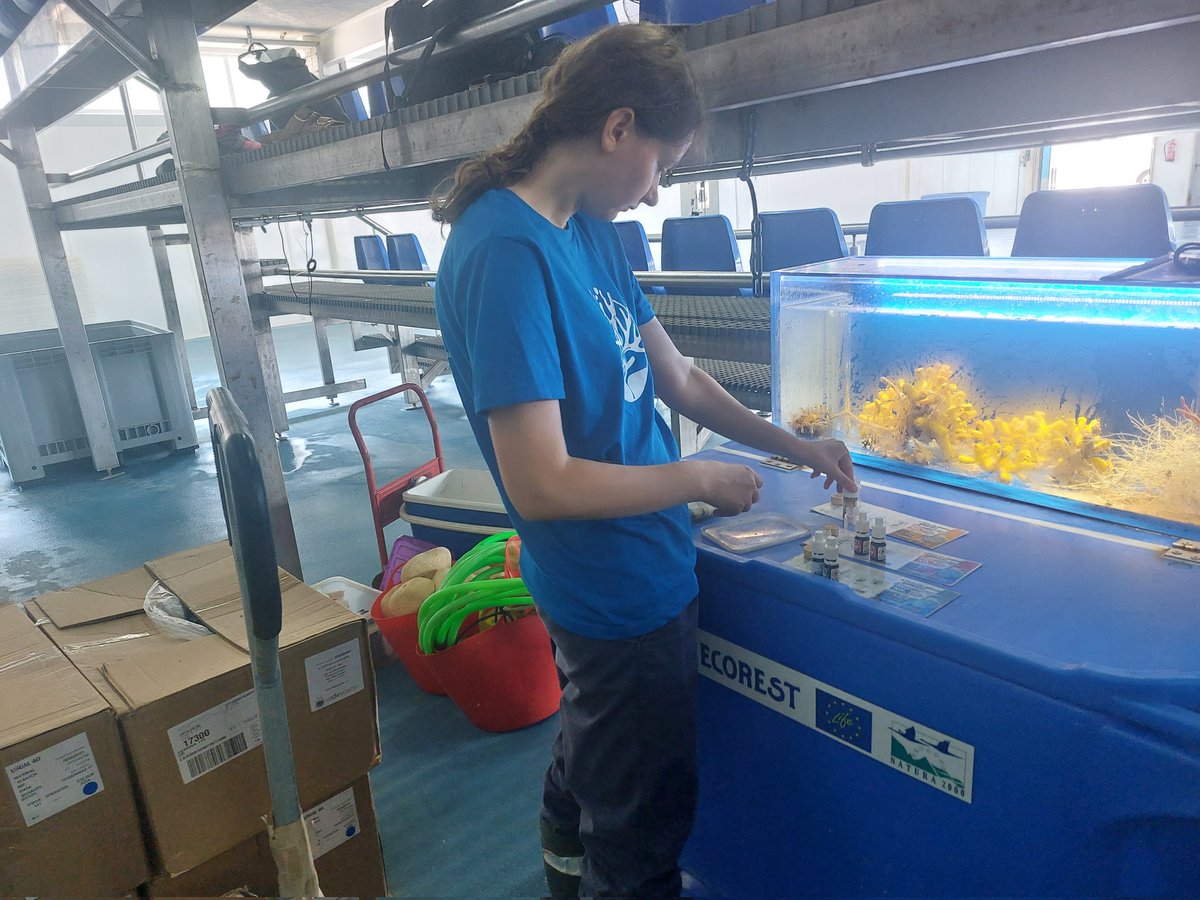 wwfbarcelona's tweet image. 🌊 Hoy, 27 de junio, con @WWFespana en Blanes apoyando #LIFEECOREST 🌱
Recuperamos corales atrapados en redes para devolverlos al mar 🐠
¡Restauramos hábitats marinos junto a científicas y pescadores!
#RestauraciónMarina 
#voluntariado @WWFespana 
life-ecorest.es