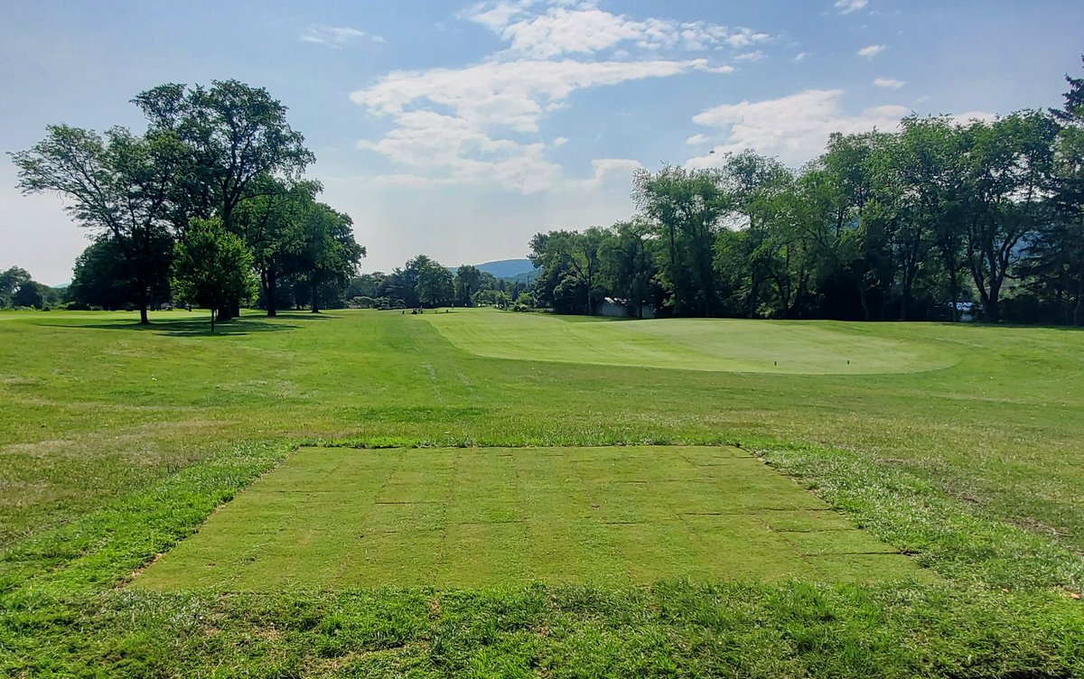 The Assistants added another new forward tee on #4. Amazing how positive the comments were about these forward tees in the recent club survey!