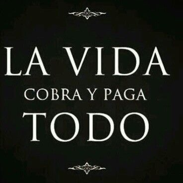 Ronny_Roehrig's tweet photo. 15 duras Verdades de la Psicología &amp; la Vida.

NO lo abras si eres sensible 😱

1. https://t.co/p6t8UinGdw