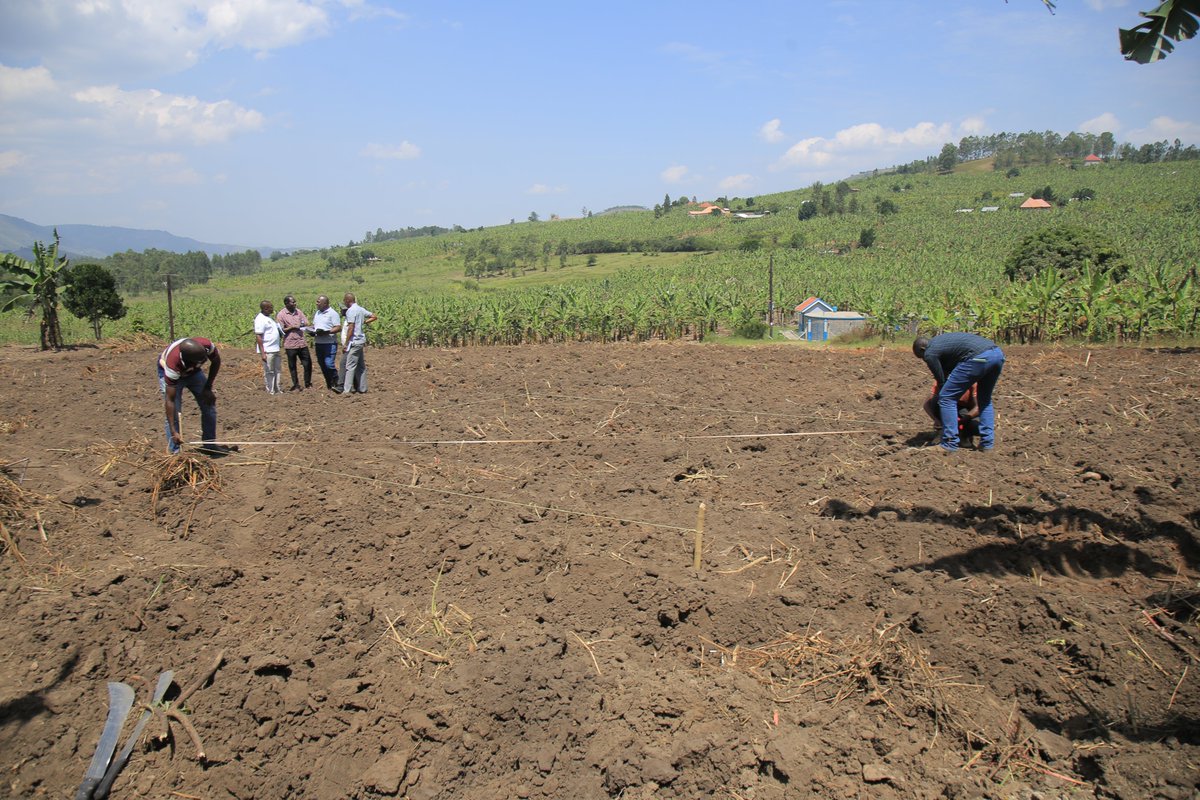 ICRP_Uganda's tweet photo. AESA East Africa meeting with Isingiro district team on establishment of irrigation demo resulted into site visits and farmilalization on 2 sites.
#irrigation
#DemoSite
#ICRPUPDATES https://t.co/WTybEdgRCz