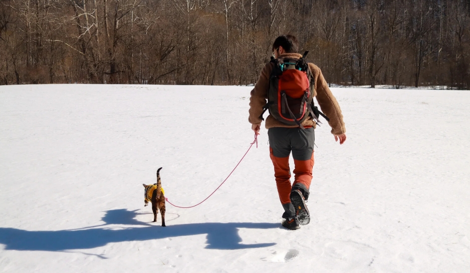 Ever thought about teaching your cat to explore safely? 🌍🐾  
YouTube star Albert Colominas shares how he leash-trained Mia for epic adventures—while protecting wildlife! Perfect for #WorldMigratoryBirdDay.  
Read the full blog now on the EFTA website and get inspired!