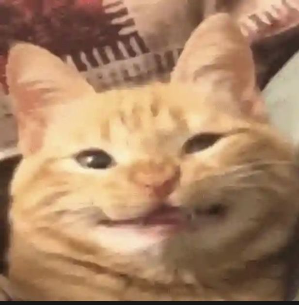 filczi's tweet image. 