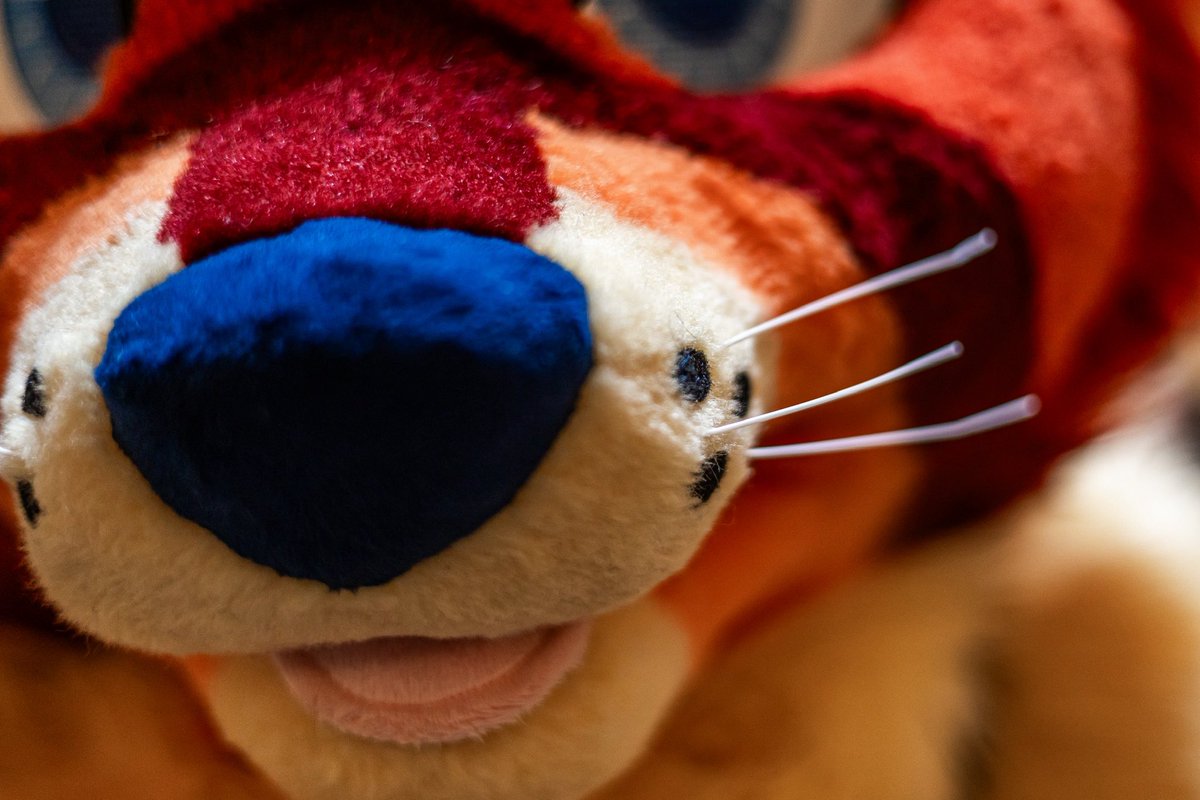 Mutzing About In A Town Near You (@mutzwah) on Twitter photo The last thing you see before your fridge is emptied.
๐ธ:<a href="/OrionSpaceRacc/">Racc? Bear? Raccbear! ๐ป</a>
๐ชก:<a href="/CosmellCosplay/">CosmellCosplay ๐ ๐ฆ</a>
#furry #FursuitFriday #fursuit The last thing you see before your fridge is emptied.
๐ธ:<a href="/OrionSpaceRacc/">Racc? Bear? Raccbear! ๐ป</a>
๐ชก:<a href="/CosmellCosplay/">CosmellCosplay ๐ ๐ฆ</a>
#furry #FursuitFriday #fursuit