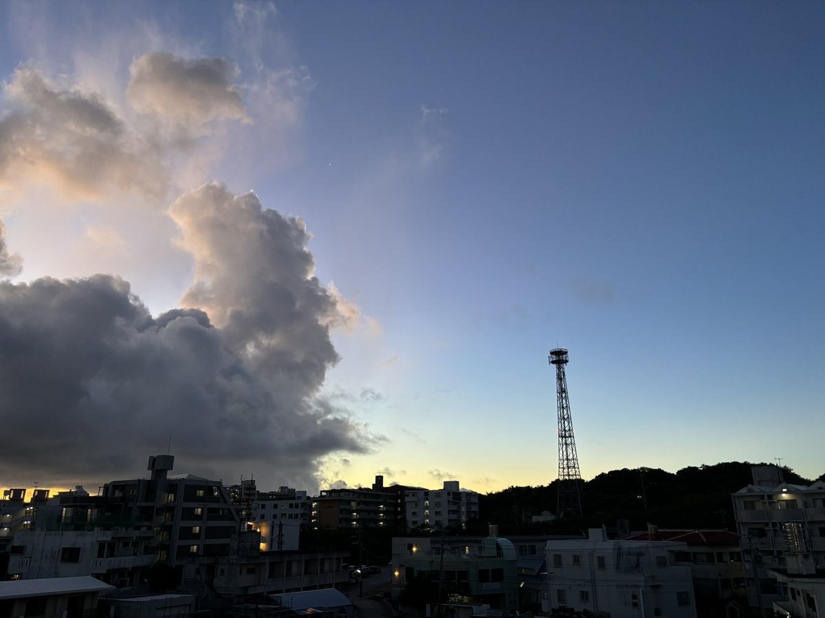 Maruja Konnichiwa 🦋 tweet media