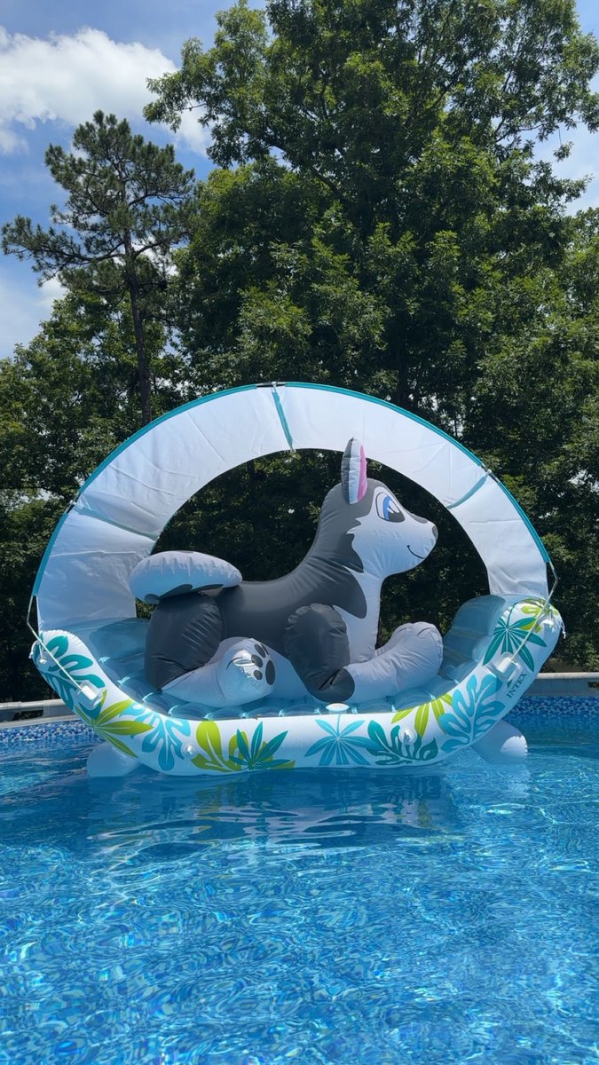 dalton_everts's tweet image. Had a fun pool day with Chloe and saphi