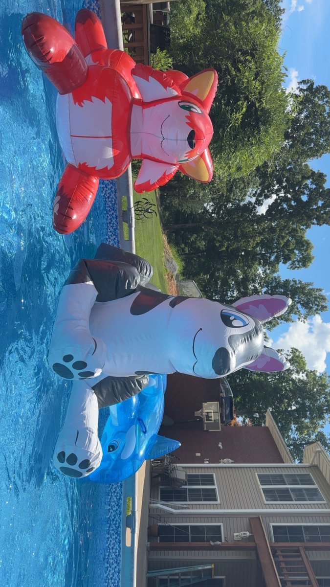 dalton_everts's tweet image. Had a fun pool day with Chloe and saphi