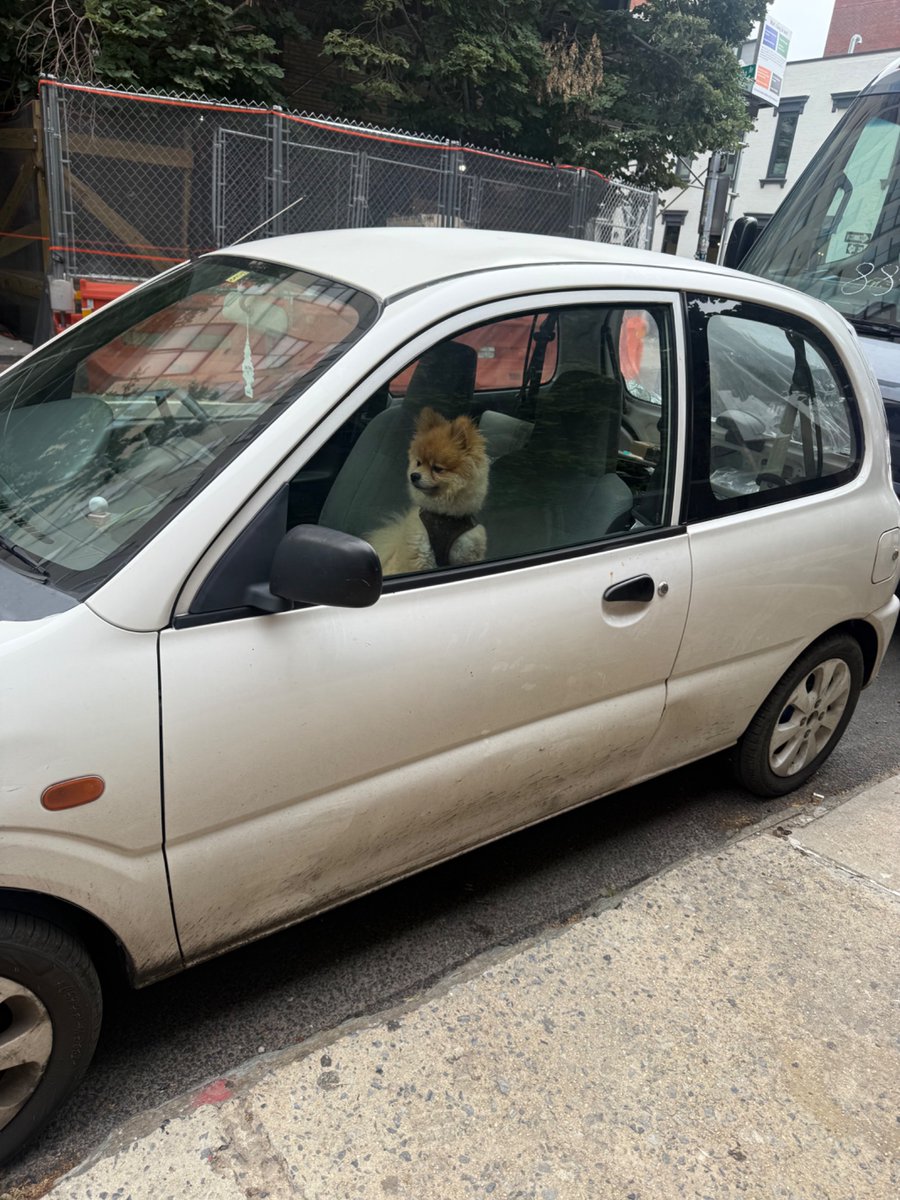 waymos are getting out of control atp