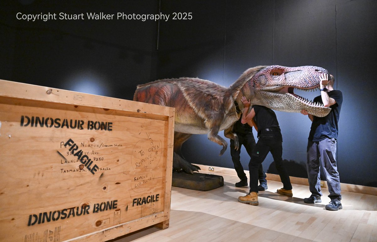 Stuart Walker 📸🎥 tweet media