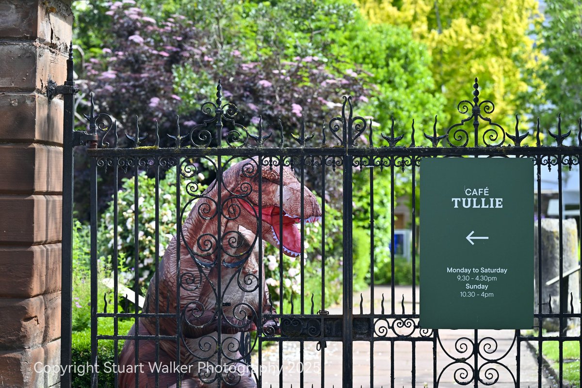 Stuart Walker 📸🎥 tweet media