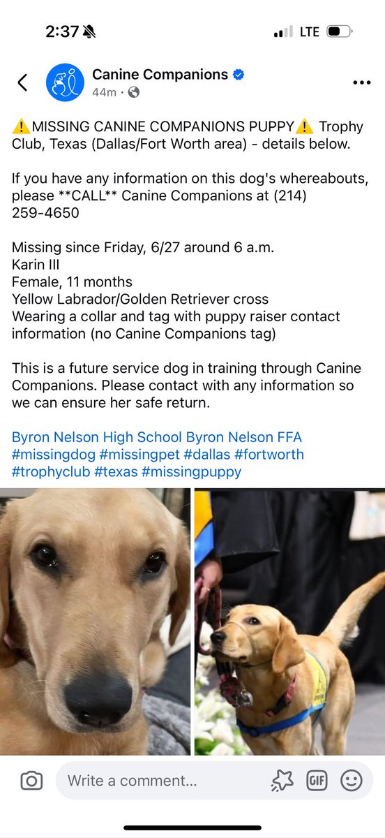 Alicia Hogue (@lilrogue_angel) on Twitter photo Please anyone around or near Trophy Club area share this. Let’s get this dog back. <a href="/CoryHogueSports/">Cory Hogue</a> Please anyone around or near Trophy Club area share this. Let’s get this dog back. <a href="/CoryHogueSports/">Cory Hogue</a>