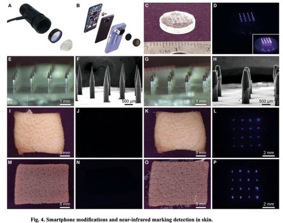 La Fondation Bill &amp; Melinda Gates a financé des « dispositifs portables » des implants cutanés (patchs à micro-aiguilles) qui délivrent des points quantiques permanents afin de vérifier le statut vaccinal.

sigmaaldrich.com/US/en/technica…

Les auteurs de l'étude financée par Gates notent