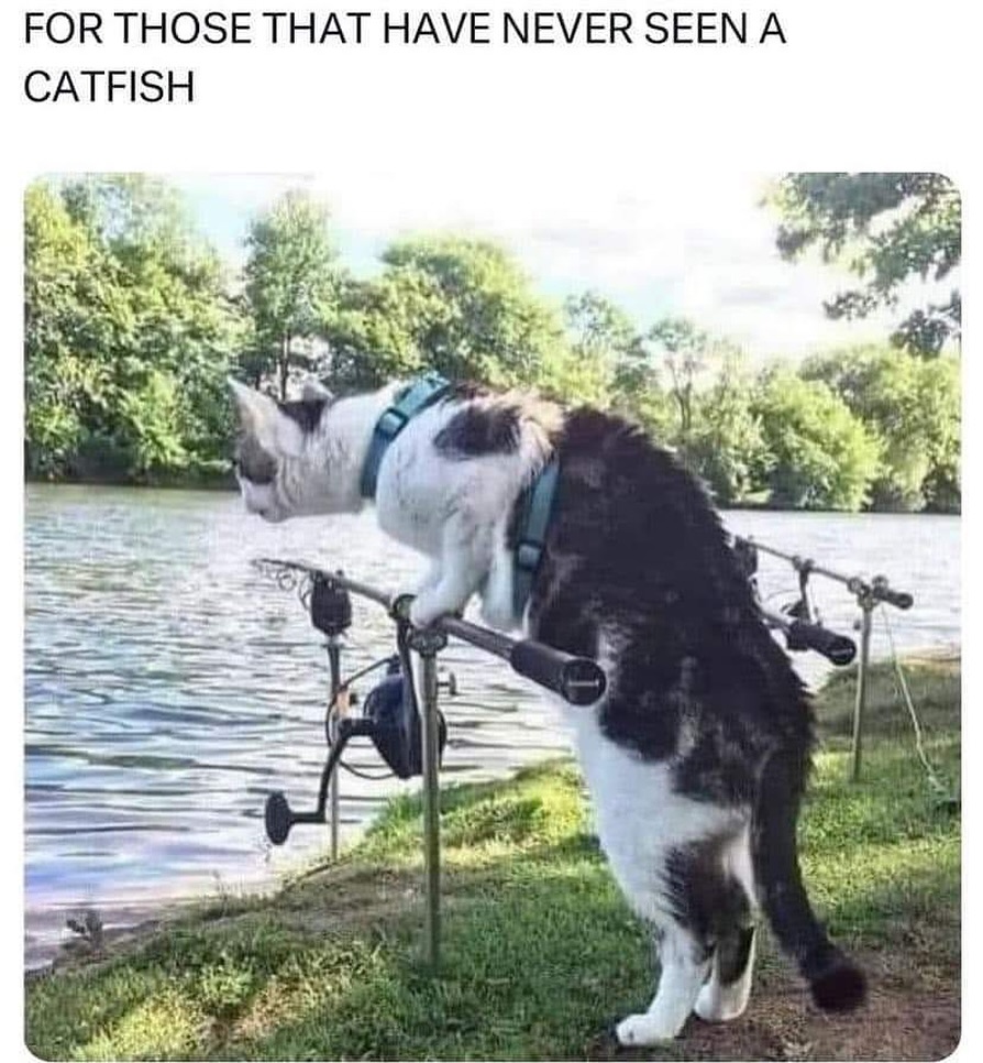 🤣🤣🤣🤣🤣🤣🤣🤣🤣🤣