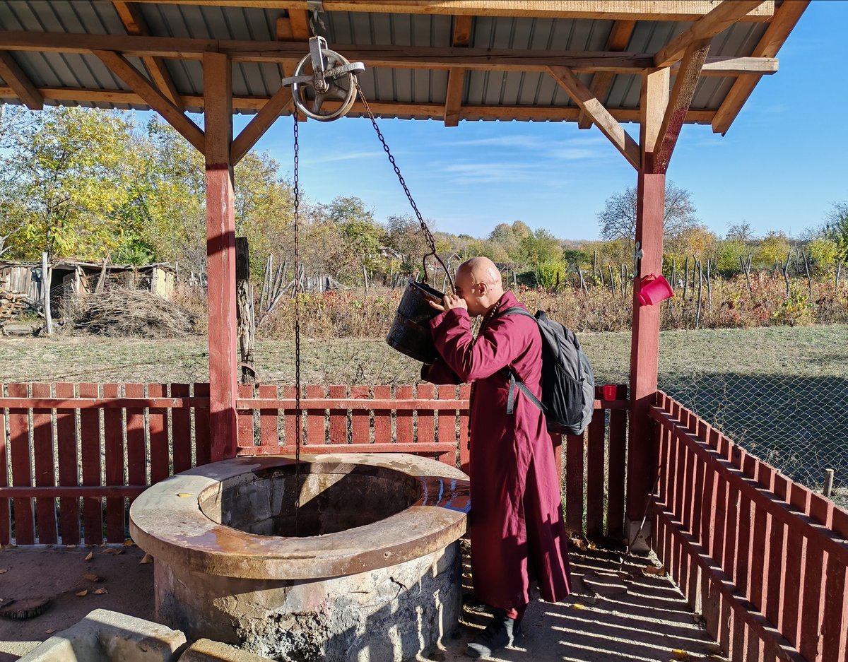 Drink the water of Amida Dharma so that you never be thirsty again. 
Guide all beings to the inexhaustible well of the Primal Vow.
Travel through villages and towns, mountains and forests and encourage all humans, spirits and local deities to entrust to Amida Buddha. 
The