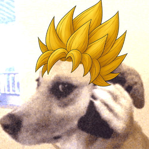 crypto_nisna's tweet photo. #dogphone is a internet meme, do you know the power of that?
pls replyyyy me https://t.co/tkNAl1tQWD