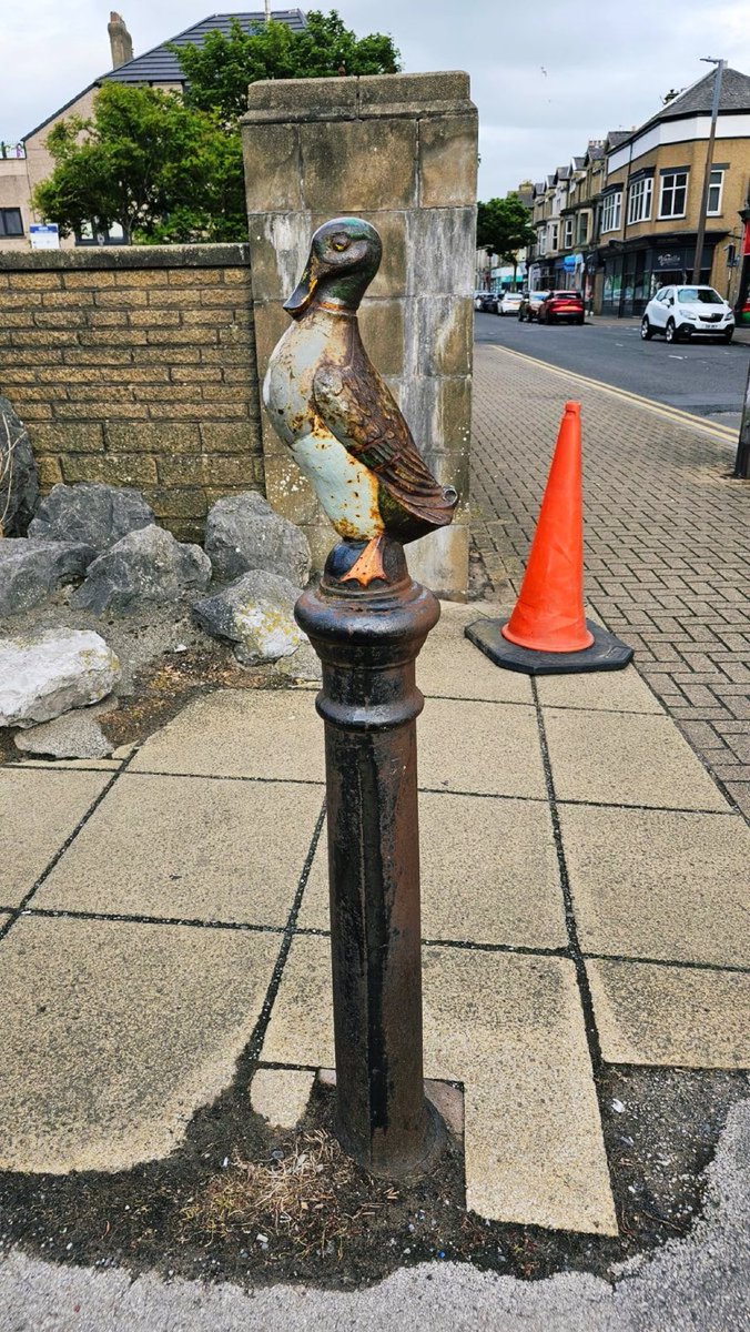 WorldBollard's tweet image. An all time classic.
#WorldBollardAssociation
📸@CraigLadson
