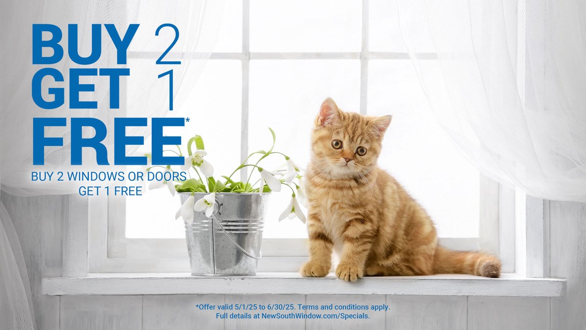 NewSouth Window tweet media