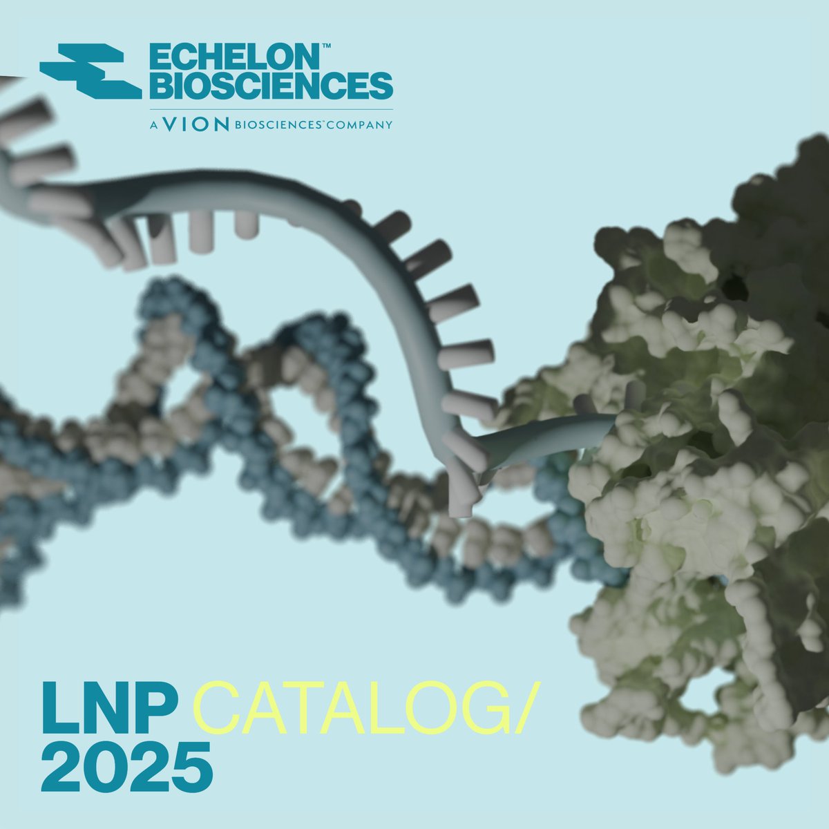 🧬 Lipid Nanoparticles: Driving the Next Wave of Therapeutic Innovation 🧬
 Echelon's 2025 LNP Catalog offers the tools and knowledge to support every step of your discovery process.

📘 Download Now: …642475.fs1.hubspotusercontent-na1.net/hubfs/47642475…

#LipidNanoparticles #RNAtherapeutics #DrugDelivery