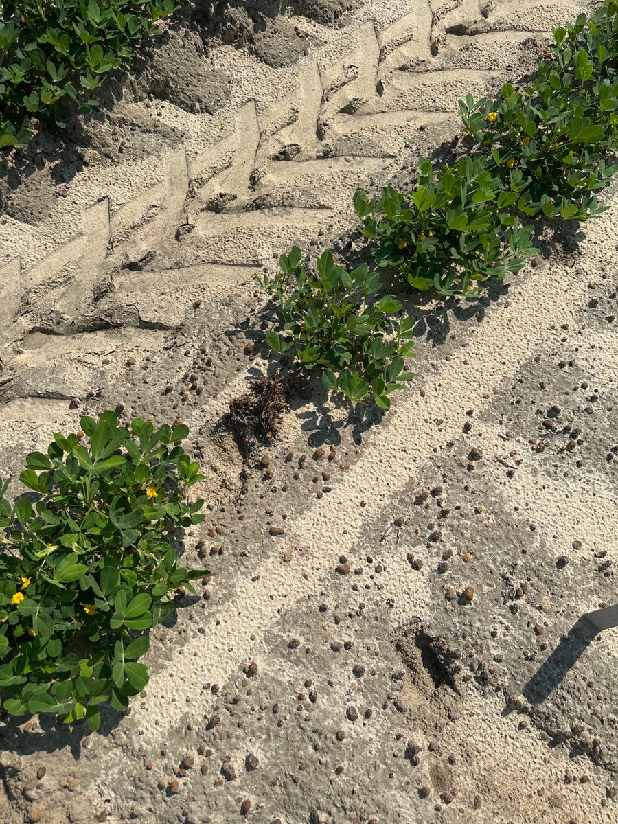 Kannar Agriscience, Inc. tweet media