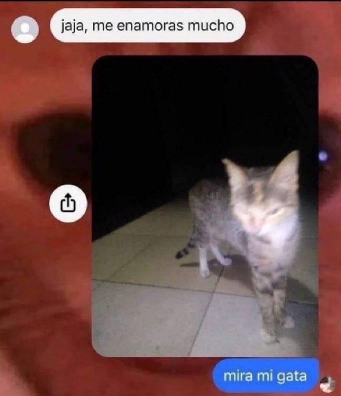 gente chamuyando tweet media
